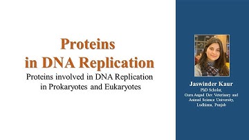 Proteins in DNA Replication for #CSIRNET