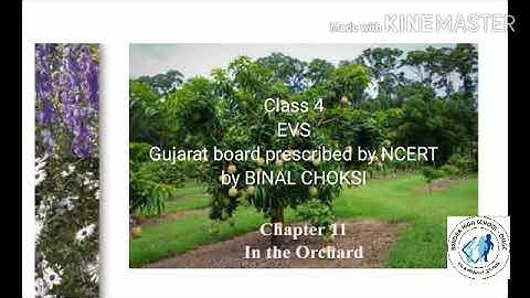 Std 4 EVS ch.11 Textbook explanation