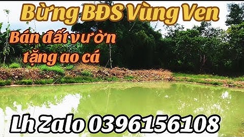 em gái nợ ngân hàng cần bán gấp lô vườn trái cây có ao cá