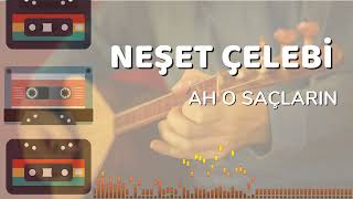 Neşet Çelebi - Ah O Saçların Resimi