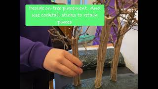 The Amazon Rainforest Diorama Part 1