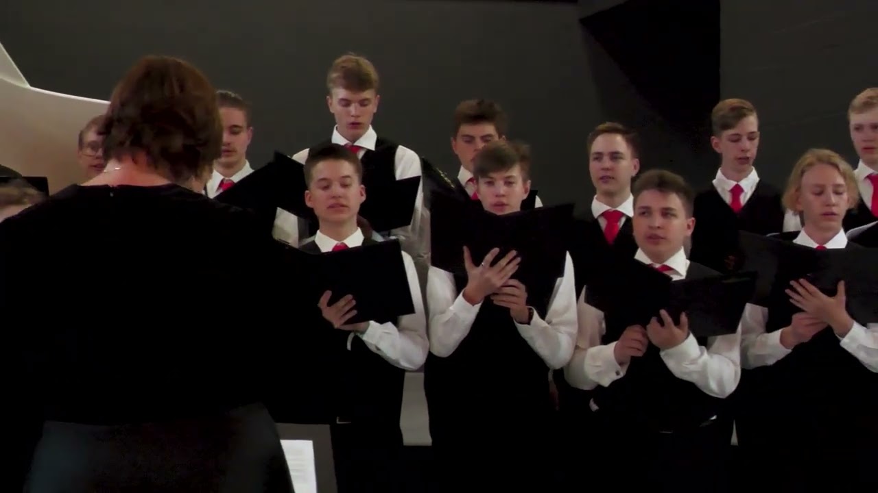 Me peame looma sillad