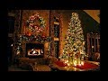 Estrazione vincitore albero di Natale | ORTO E GIARDINAGGIO