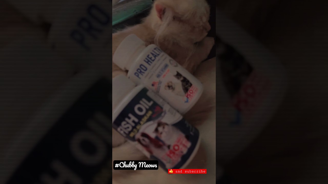 Best fish oil and multivitamin for cats