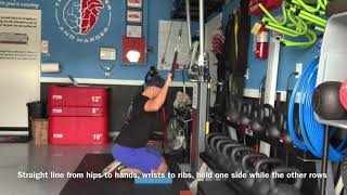 Celebrity Seated Alternating Cable Pulldown Net Worth