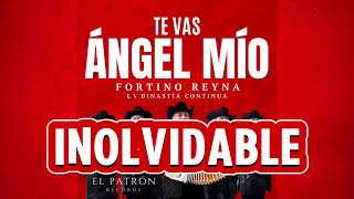 Te Vas Ángel Mío- Fortino Reyna (Video Lyric)