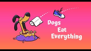 Dogs Eat Everything