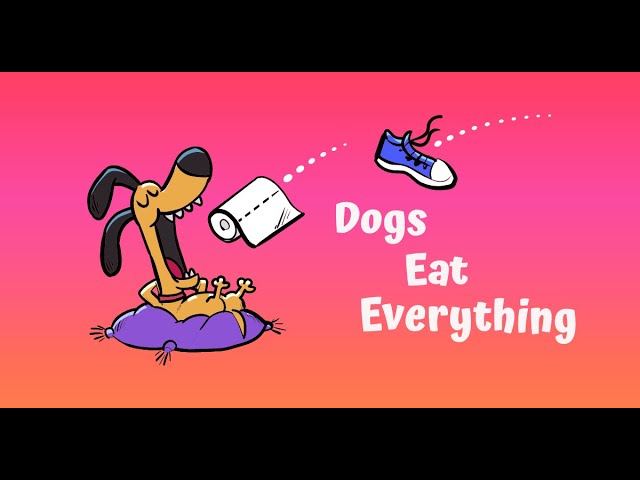 Dogs Eat Everything