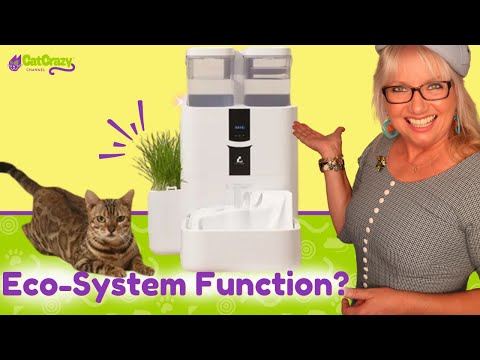 Is this for real? 'LaLaHome RealFountain' Review