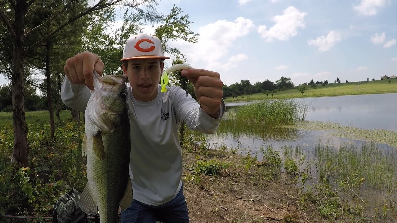 Tokyo Rig, The Best Soft Plastics Rig Ever ?! YouTube