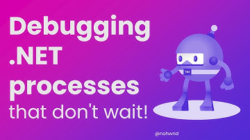 Debugging .NET processes that don