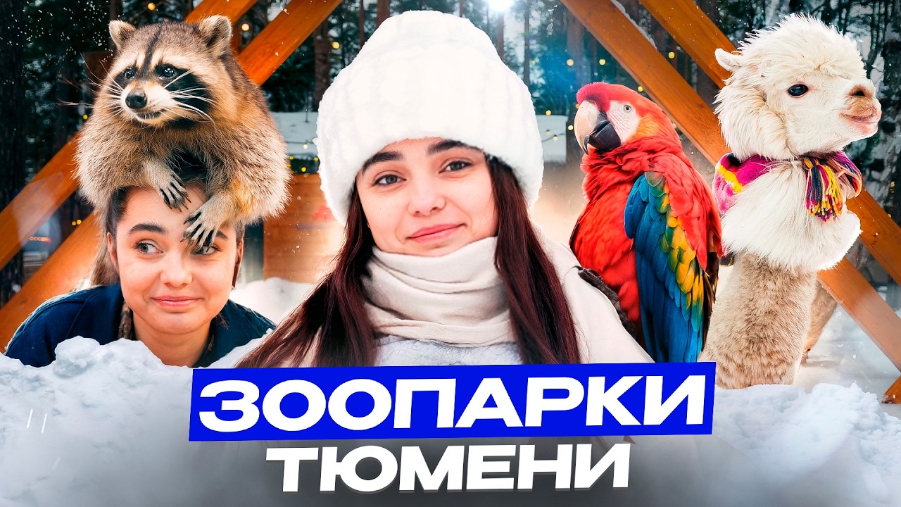 Куда сходить в Тюмени? Мир зоопарков