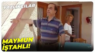 Ne Hain Oluyor Erkek Milleti - Yazlıkçılar 11. Bölüm