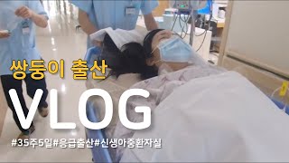 [출산 VLOG] 태어나자마자 중환자실에 간 아기와 엄마🥲 #쌍둥이임신#출산브이로그#니큐입원