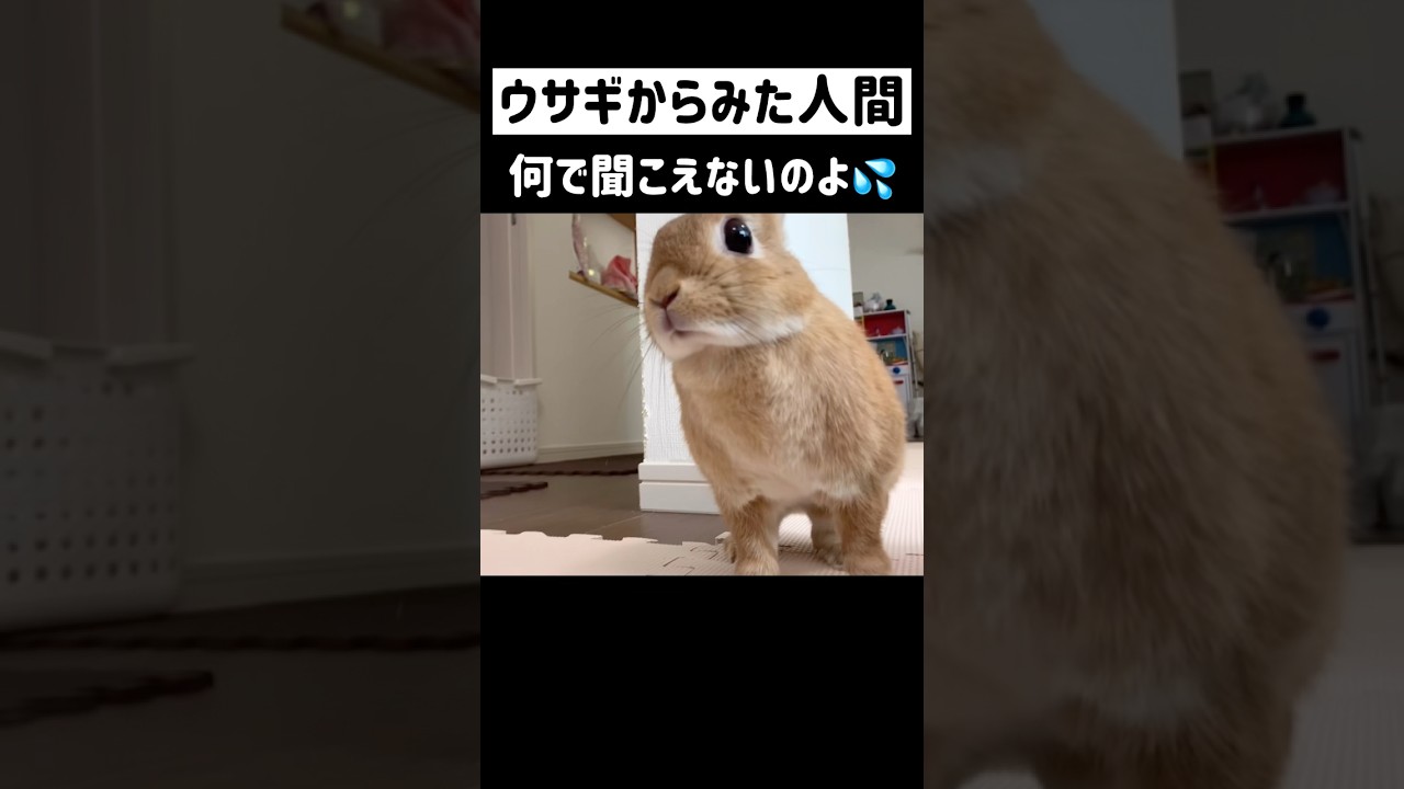 Why don't you understand this danger? - YouTube