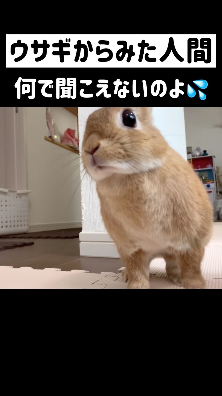 Why don't you understand this danger? - YouTube