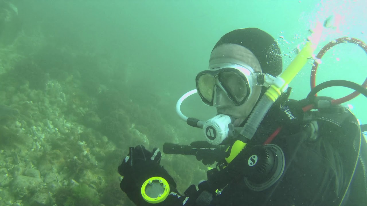 Dive 19 Scuba diving at Sheringham chalk reef (Norfolk) 25th August