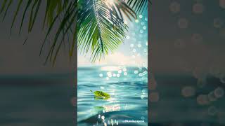 Bir Gülüşün Yeter - Anadolu Pop Balad Düşmüş Yaprak 2025