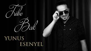 Yunus Esenyel - Tiribe Bak  Resimi