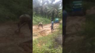 Sungai melayu rayak \