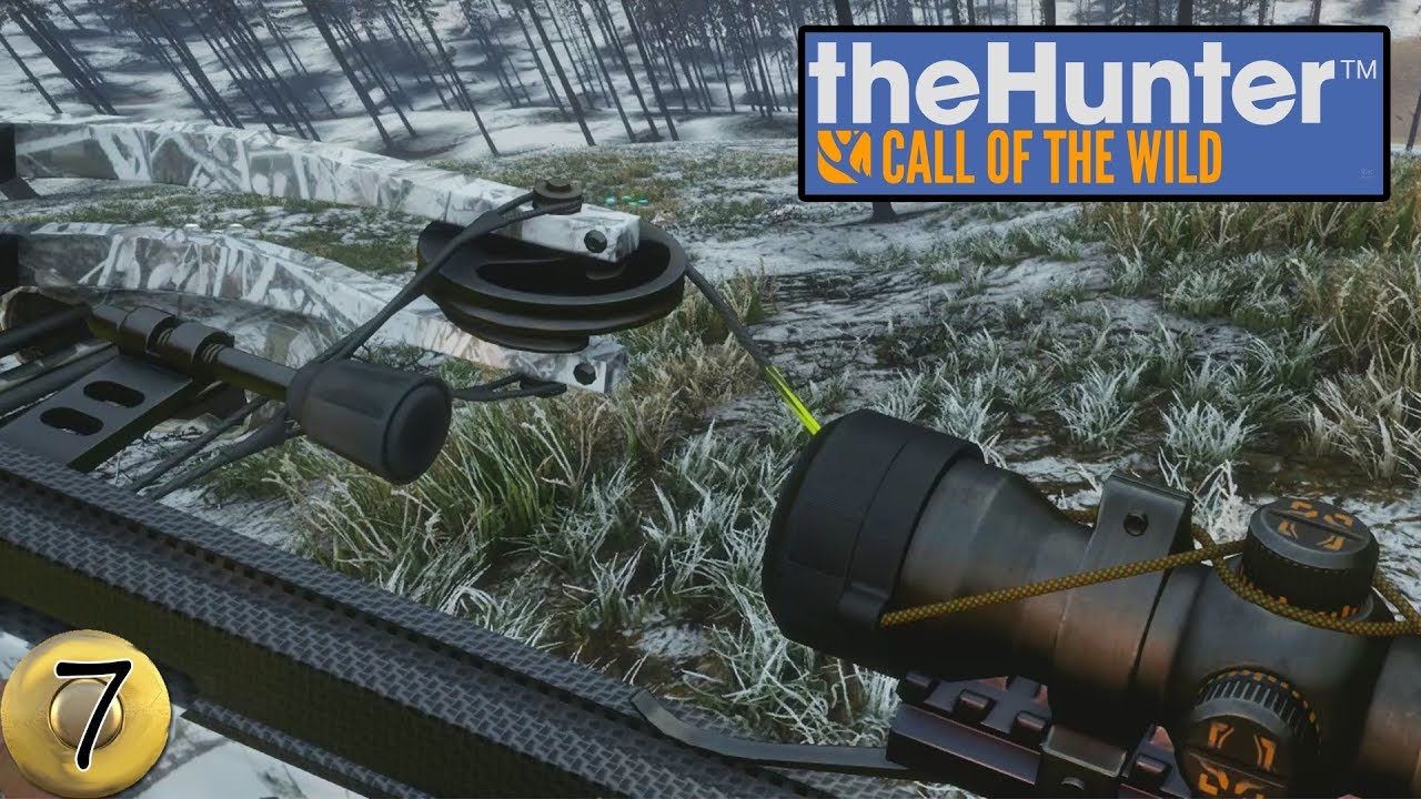 BISON, WOLVES & CROSSBOWS THE HUNTER CALL OF THE WILD YUKON VALLEY