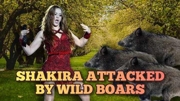 Shakira attacked by wild boars in Barcelona
