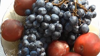 Cherries 🍒 Plums 🍇 Grapes by Dmitriy Leonov 28 views 3 years ago 1 minute, 27 seconds