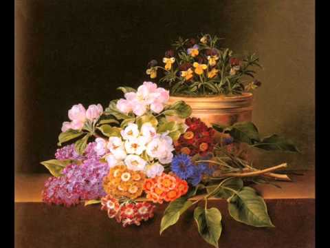 Bach - Orchestral Suite No.2 BWV 1067 (2/2)