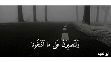 قران كريم بصوت اسلام صبحي  حالات واتس اب💙