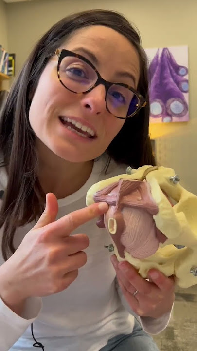 Better orgasms?! #shorts #pelvicfloormuscles #orgasm