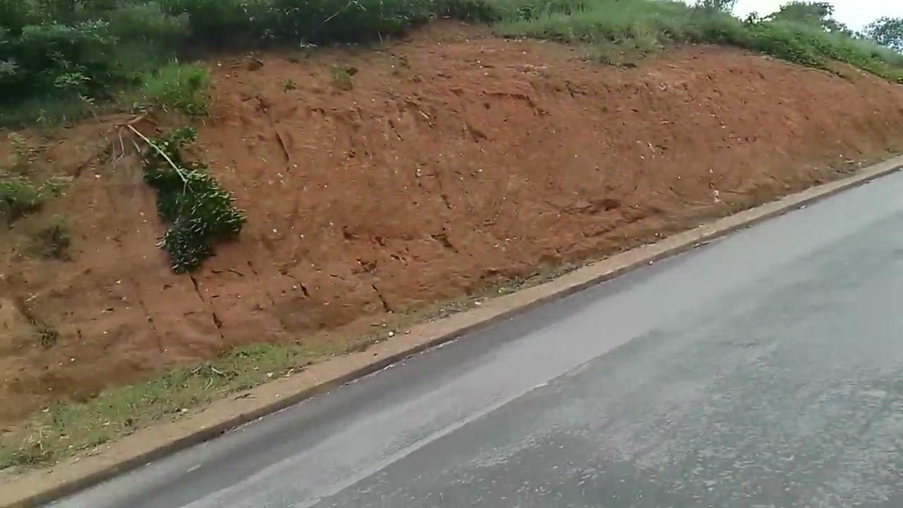 Belas plantações de cafés na zona rural de Cabo Verde-MG!!! #minasgeraisbrasil #vidanaroça #fazenda 