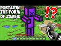 What if YOU BUILD PORTAL IN THE FORM OF ZOMBIE in Minecraft ! NEW SECRET ZOMBIE PORTAL !