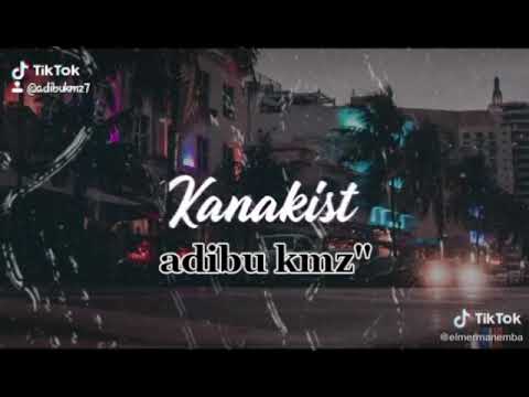 adibou trois petit chat