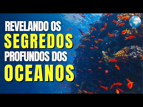 Vídeo: O fascinante mundo subaquático dos oceanos