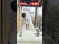 【武道・武術】何をしても折れないバットを寸勁で折れるか！やってみた！！#aikido ＃karate #martial #武道 #空手＃合気道＃筋トレ#selfdefens