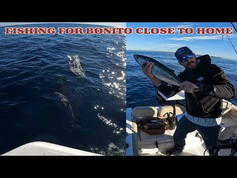 1 11 2026 Fishing Point Loma To The Nine Mile Bank With John And Justin For Bonito 