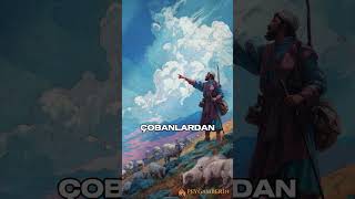 Sin, Şine Girince Her Şey Ortaya Çıktı