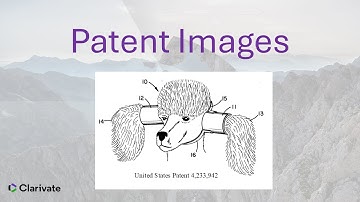 Patent Images