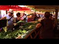 March de saison  toulon sous le soleil exactement