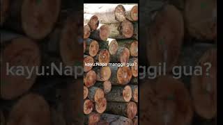 material terlangka