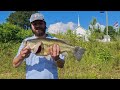 In God with Great Fishing 5-18-2026 at a private pond in Oneonta Alabama