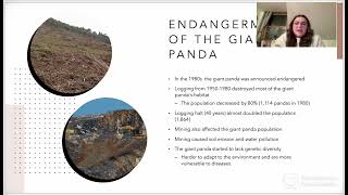 Panda Project