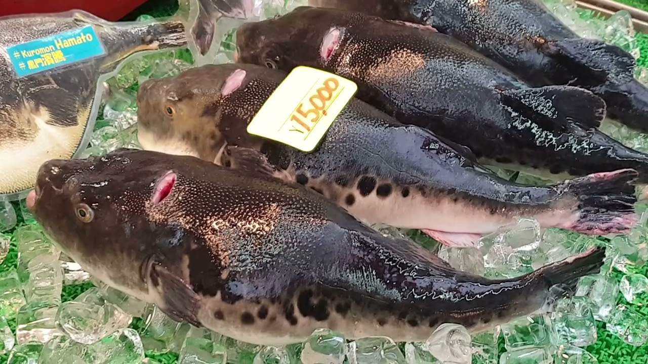 Discover Japan's Top Seafood Delights: From Sushi to Regional Specialties | Part 2