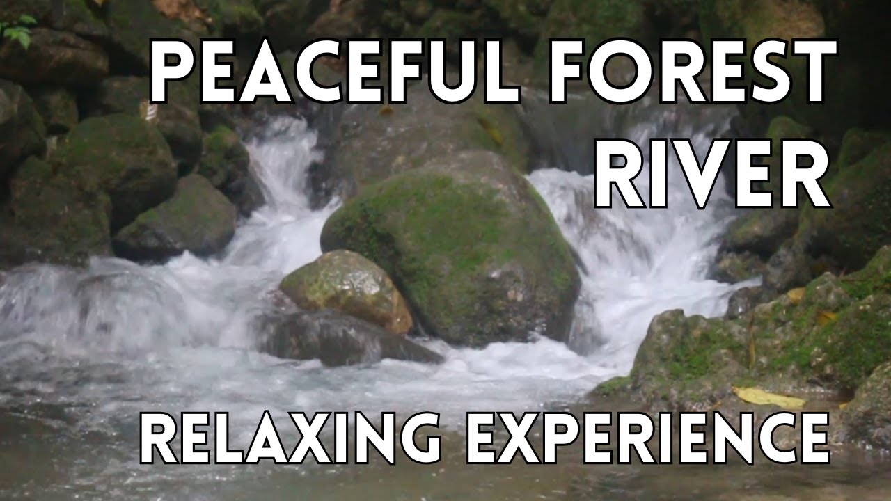 Peaceful River Flow: Nature Sounds for sleep, focus and concentration