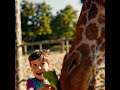 Magical Giraffe Encounter remix