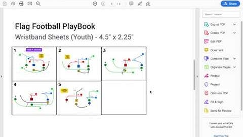 FirstDown PlayBook WristBand Sheet Tips
