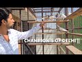 DELHI CUP WINNER 27-9-2020 CHAMPION PIGEONS !! HOW TO CARE AND WIN COMPETITIONS ||