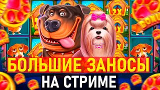 ⚡️КАЗИНО СТРИМ ОНЛАЙН!⚡️ ЛОВИМ БОНУСЫ МАКСВИН #Shorts #казино #стрим #онлайн #слоты