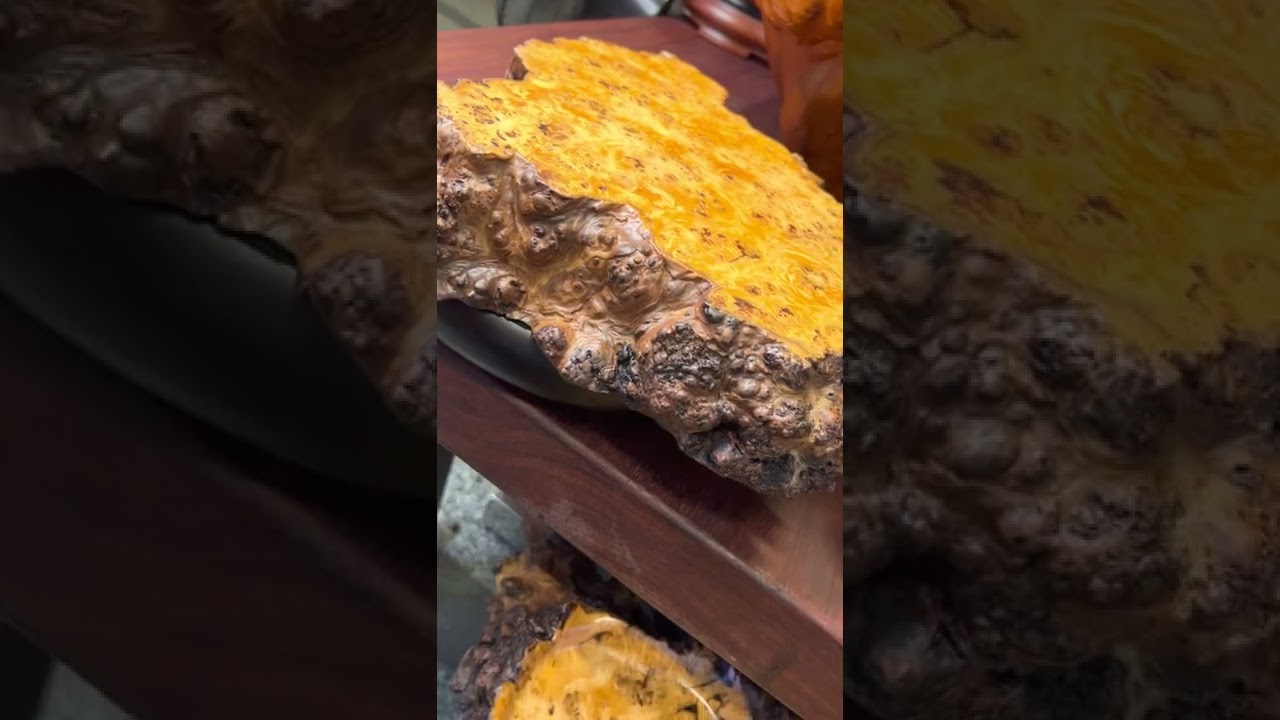 NO307 收藏家的家 重新翻漆的樹瘤