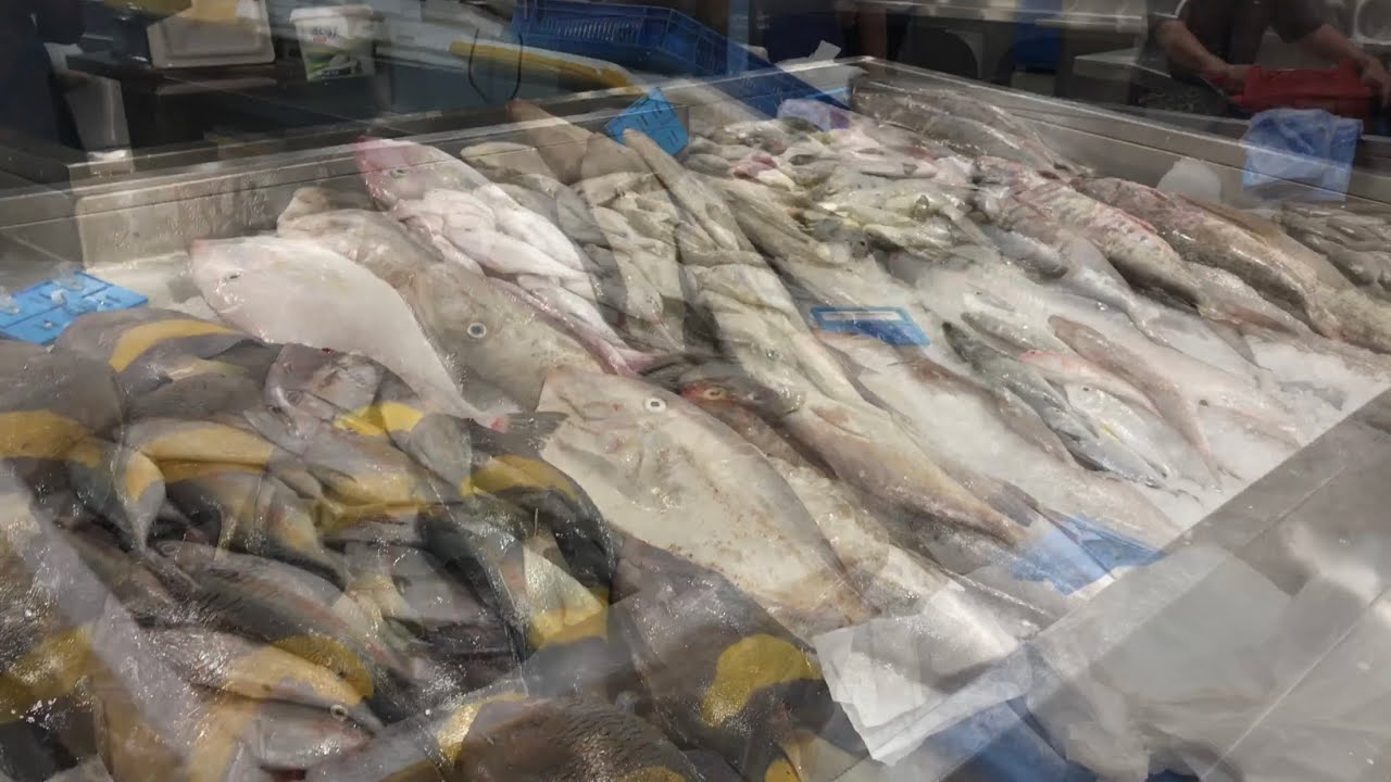 Qatar fish market Doha to Umm Salal Market YouTube